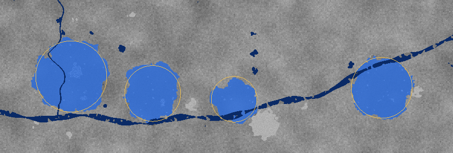 The mapped flood. Mock radar image of lower Assam.