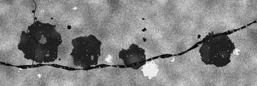 During the flood. Mock radar image of lower Assam.